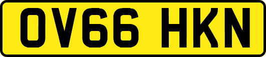 OV66HKN