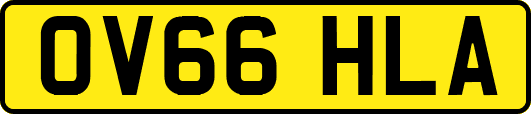 OV66HLA