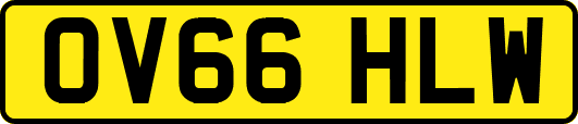 OV66HLW