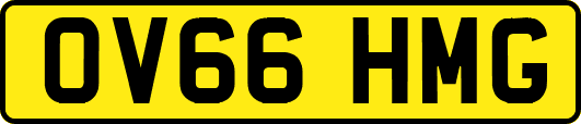 OV66HMG