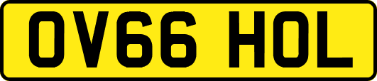 OV66HOL