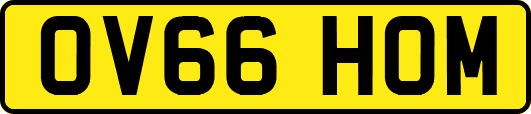OV66HOM