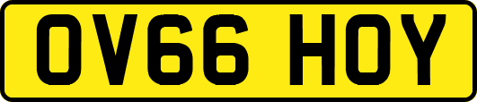 OV66HOY