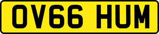 OV66HUM