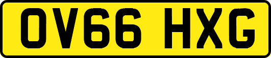 OV66HXG