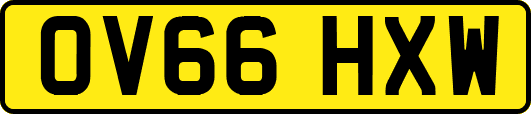 OV66HXW
