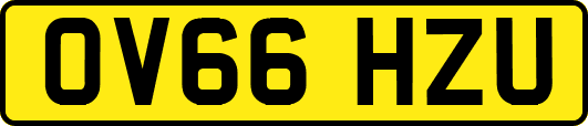 OV66HZU
