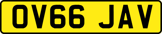 OV66JAV