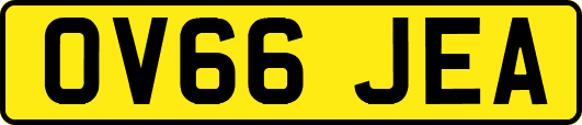 OV66JEA