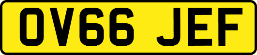 OV66JEF