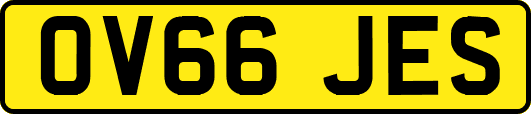 OV66JES