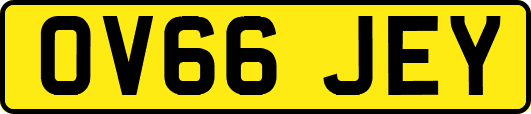 OV66JEY
