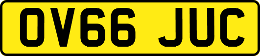 OV66JUC