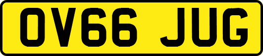 OV66JUG