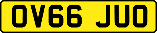 OV66JUO