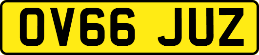 OV66JUZ