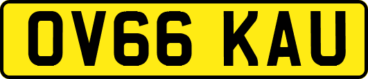 OV66KAU