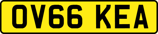 OV66KEA
