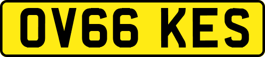 OV66KES