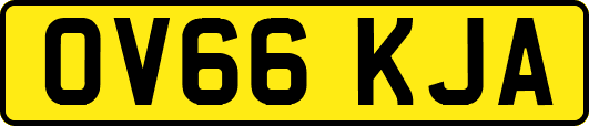 OV66KJA