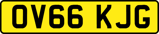 OV66KJG