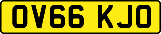 OV66KJO
