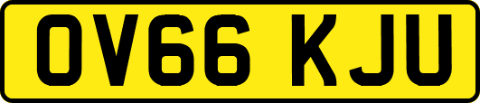 OV66KJU