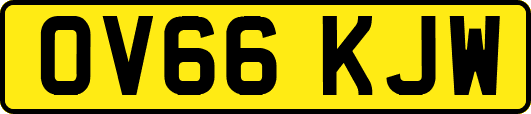 OV66KJW
