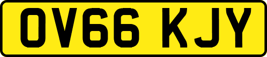 OV66KJY