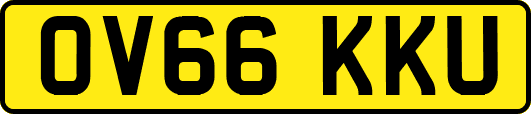 OV66KKU