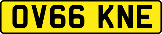OV66KNE