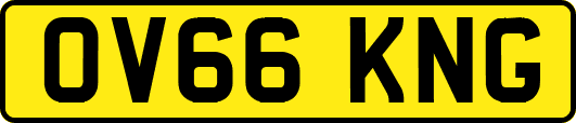 OV66KNG