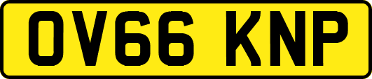 OV66KNP