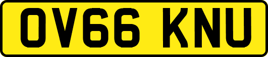 OV66KNU