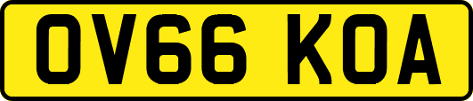 OV66KOA