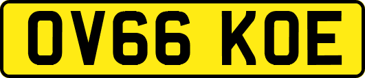 OV66KOE