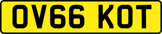 OV66KOT