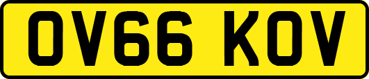 OV66KOV