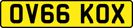 OV66KOX
