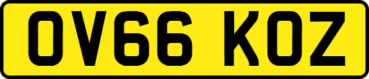 OV66KOZ