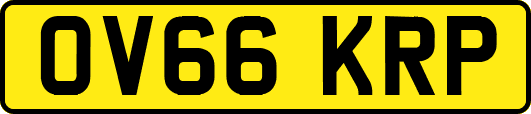 OV66KRP