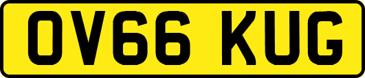 OV66KUG