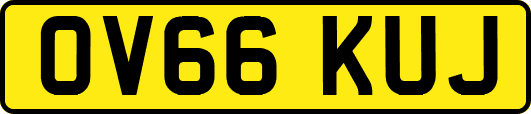 OV66KUJ