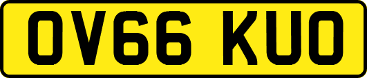 OV66KUO