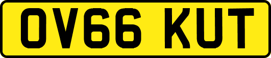 OV66KUT