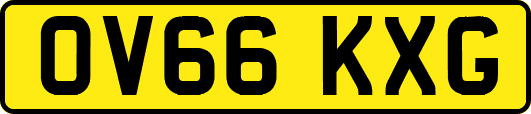 OV66KXG