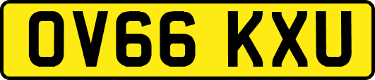 OV66KXU