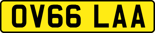 OV66LAA