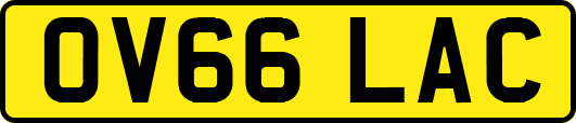 OV66LAC