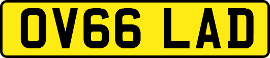 OV66LAD